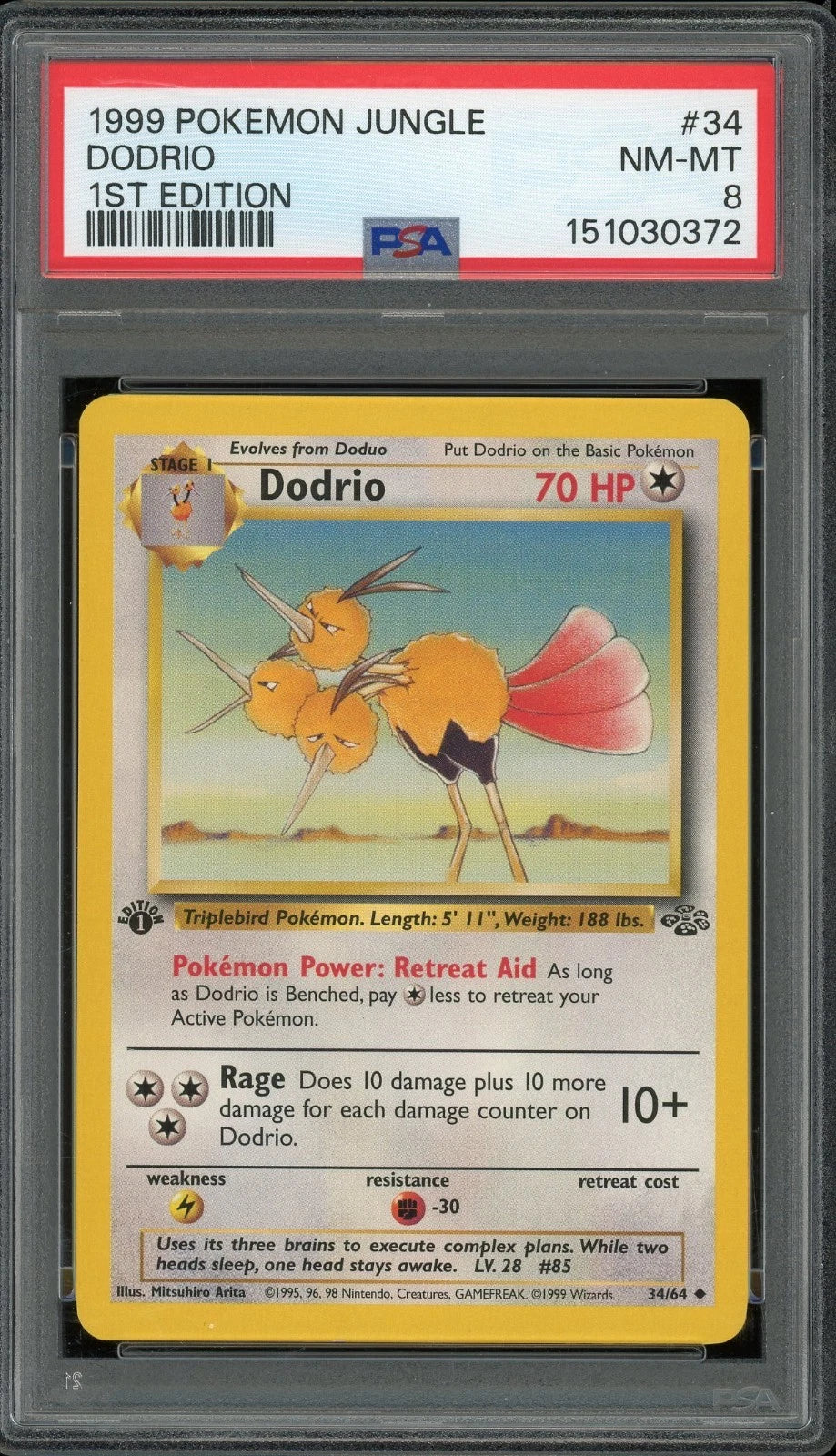 1999 Pokemon Jungle 1st Edition #34 Dodrio PSA 8 NM-MT