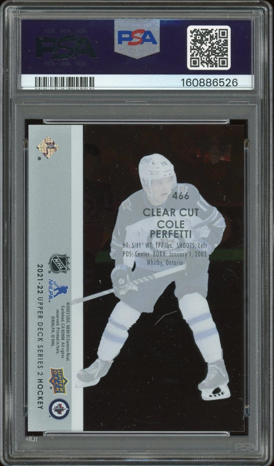 2021 Upper Deck #466 Cole Perfetti Clear Cut PSA 8 NM-MT